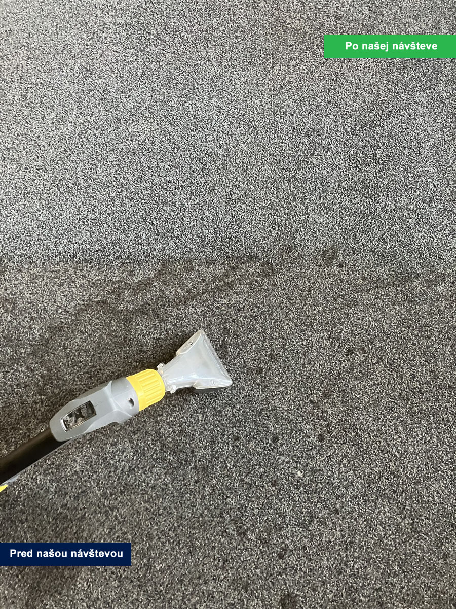 Profesionálne tepovanie koberca